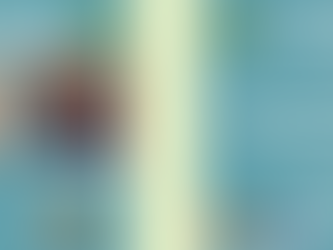 Our PSAP ALAM Representatives