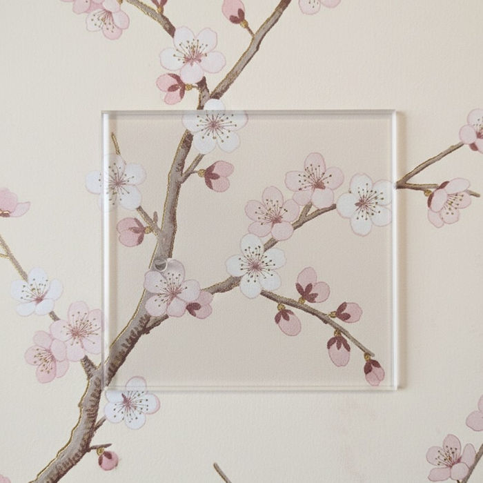 Collection Transparente — interrupteurs et prises 6ixtes