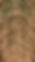 stephen-frank-1nls6y6XZJ4-unsplash (1).j