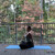 Shoulder and Neck Flow
