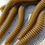 Thumbnail: 3.5” or 6” Ring Worms- Green Pumpkin