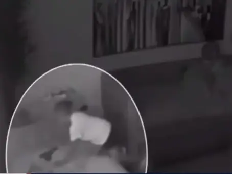 Niña de 3 años se dispara con pistola que dejaron en el sofá de su casa