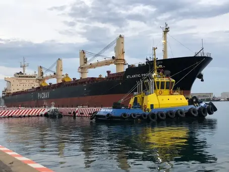 Reactivan parcialmente operación de aduanas, pero siguen fallas en sistemas: Asociaciones