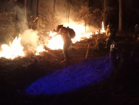 Atiende Gobierno de Oaxaca incendios forestales suscitados en la entidad