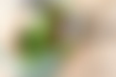 Why Am I Eating This?