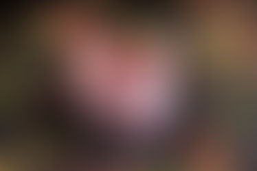 Ridiculously Delicious  Chocolate Covered Cherry Protein Shake