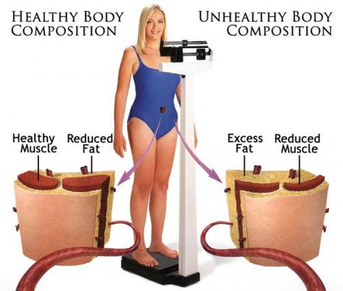 A certain amount of fat is important for bodily functions. It regulates your body temperature, cushions organs and tissues, and is the main form of your body’s energy storage. So it's important to have neither too much nor too little body fat.