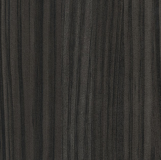 Black Havana Pine