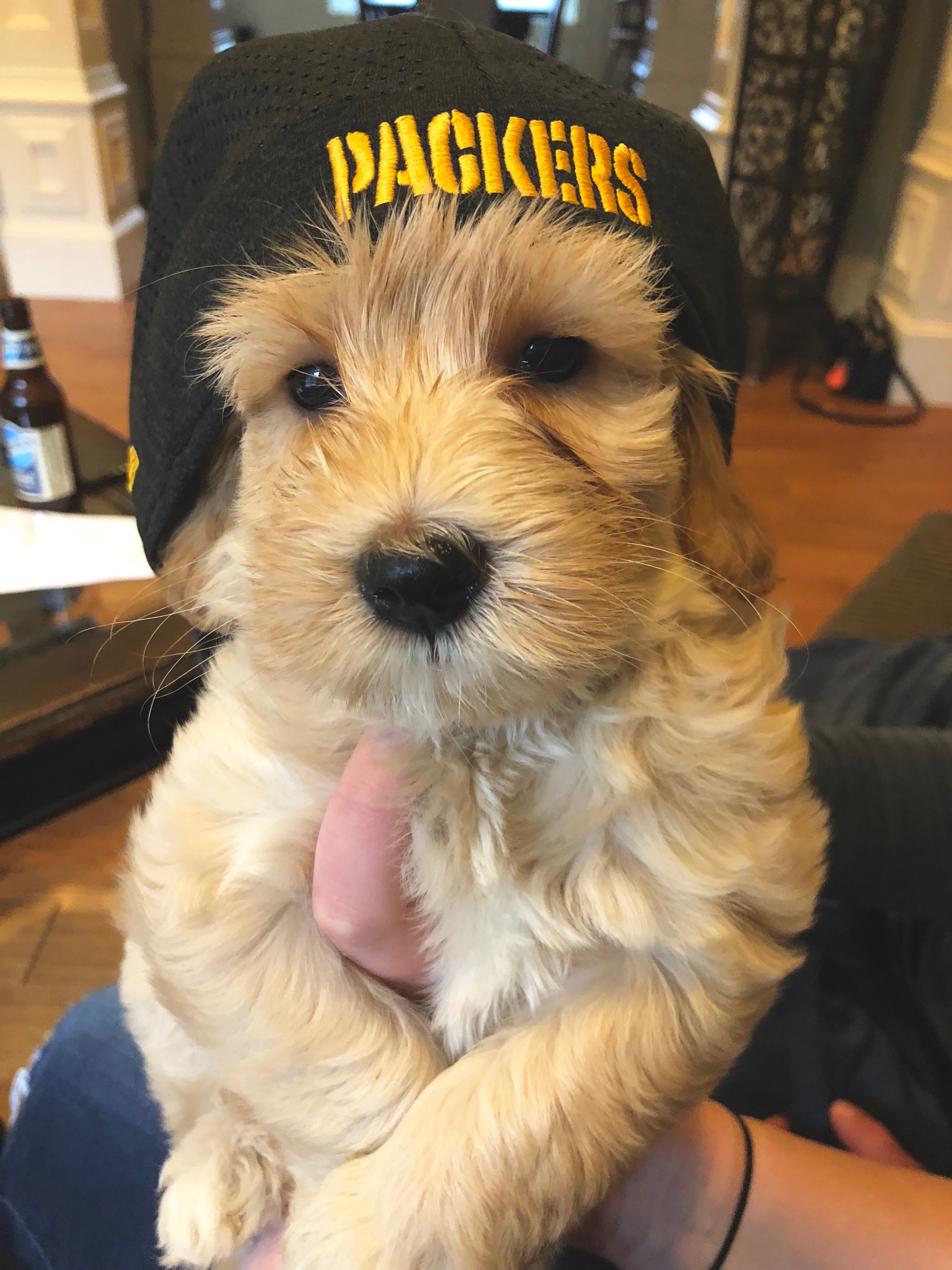 Gracie's past puppy