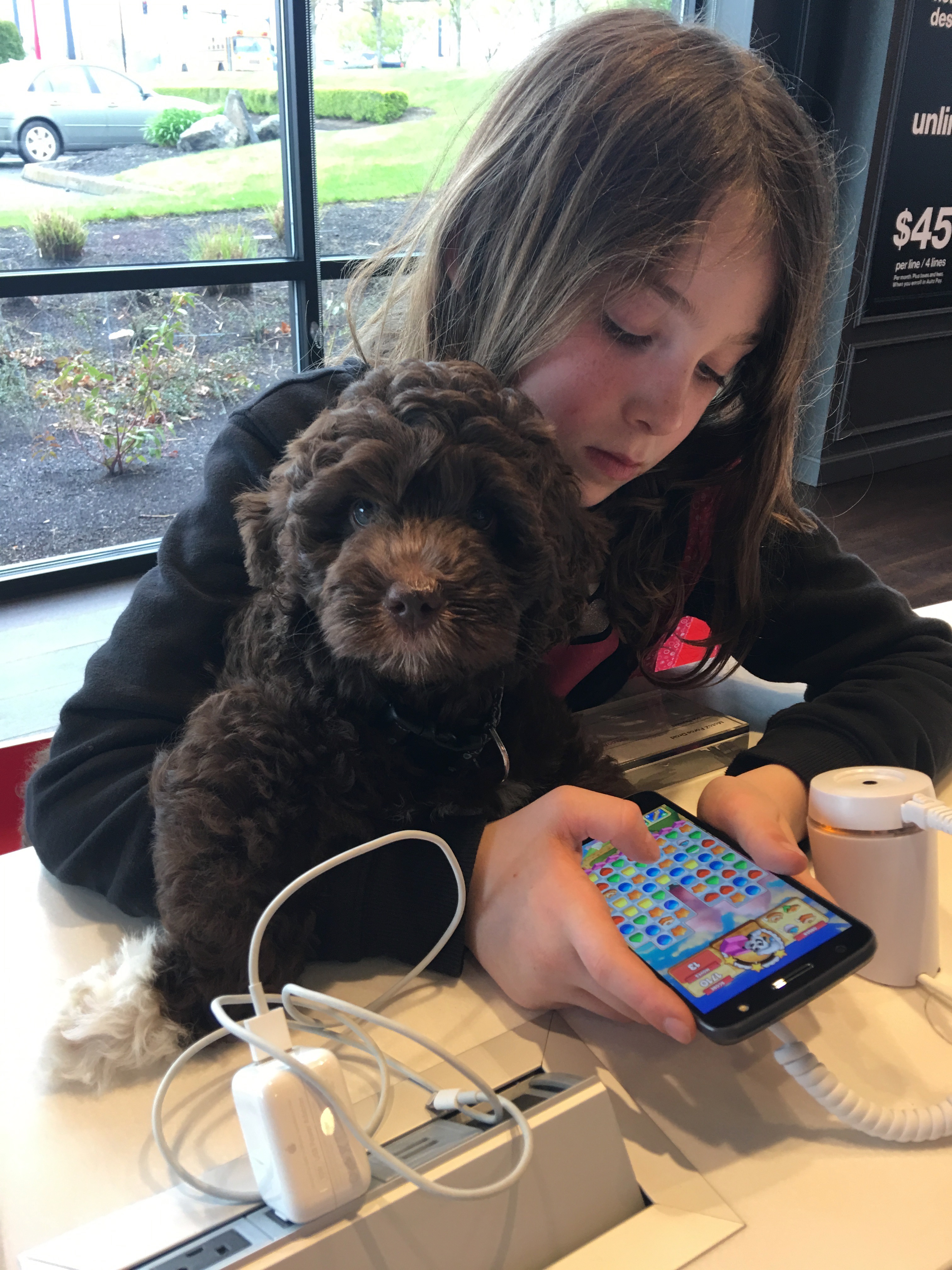 Shopping At Verizon Wireless
