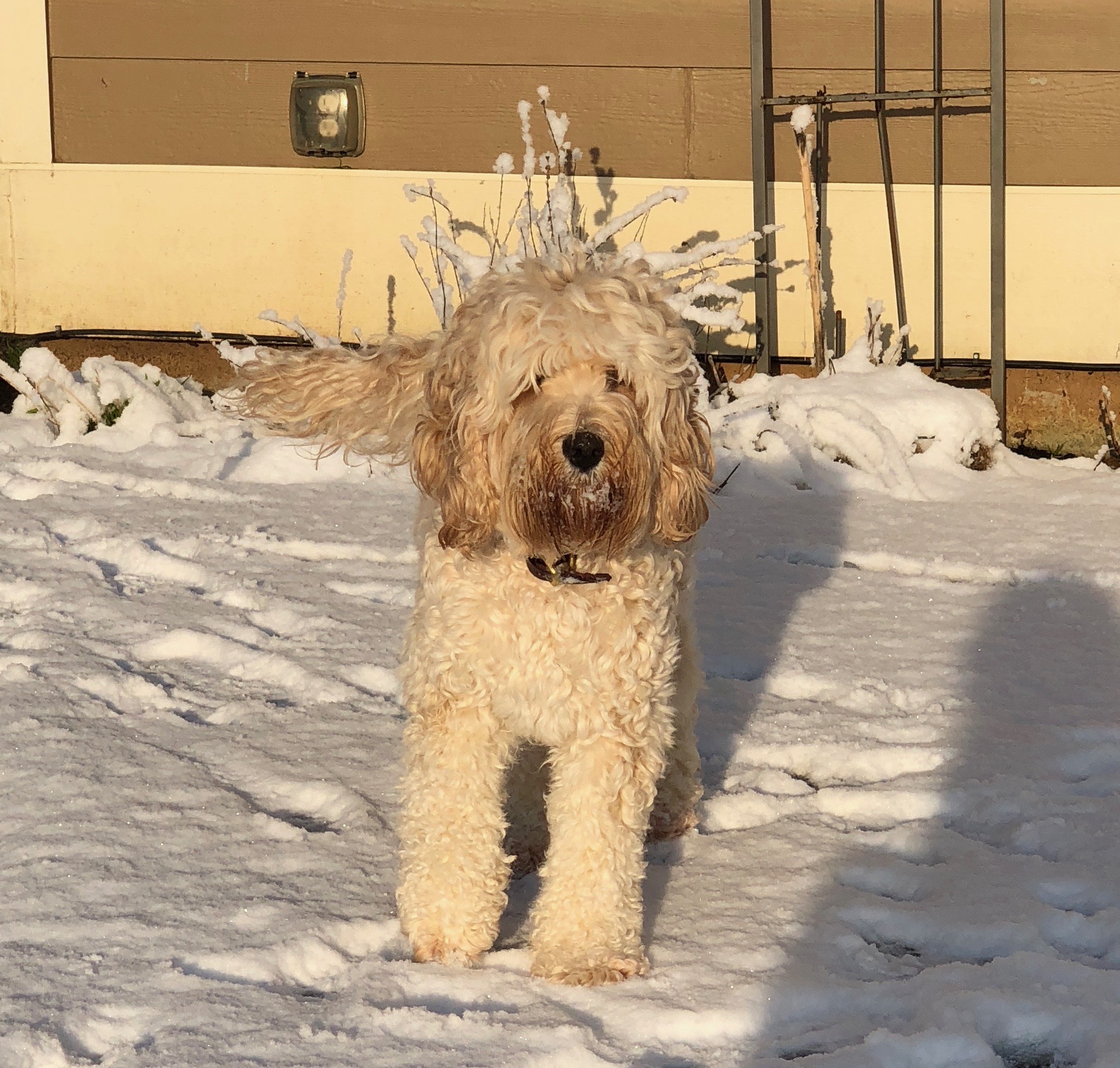 Snow!
