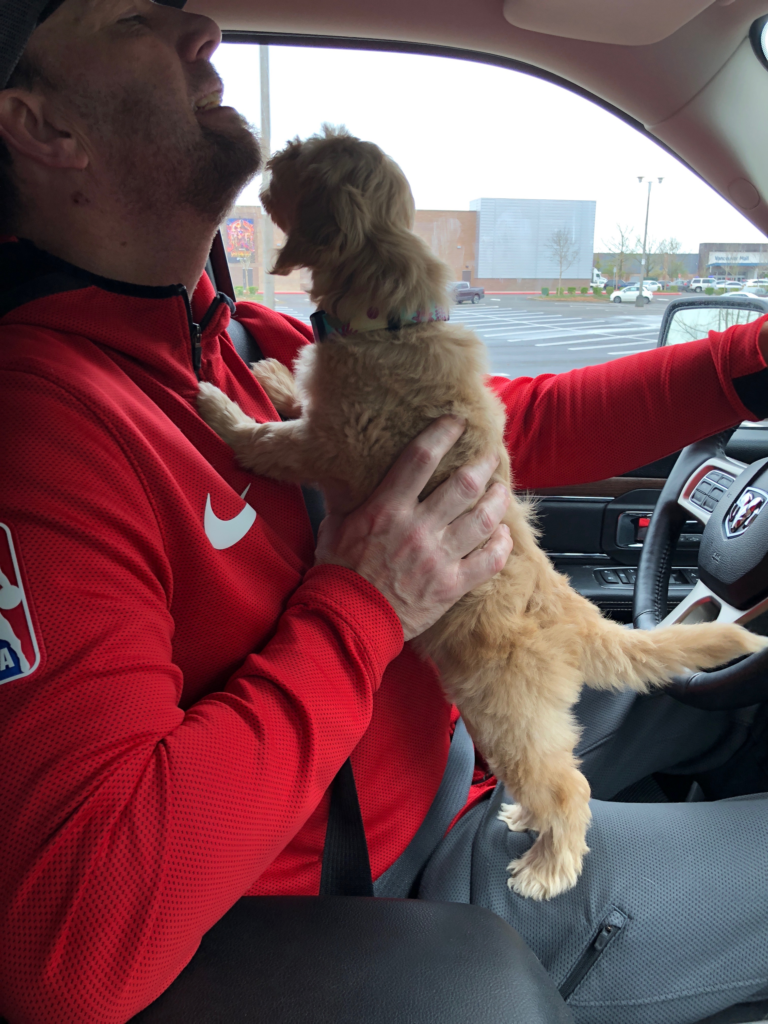 Distracted driving?