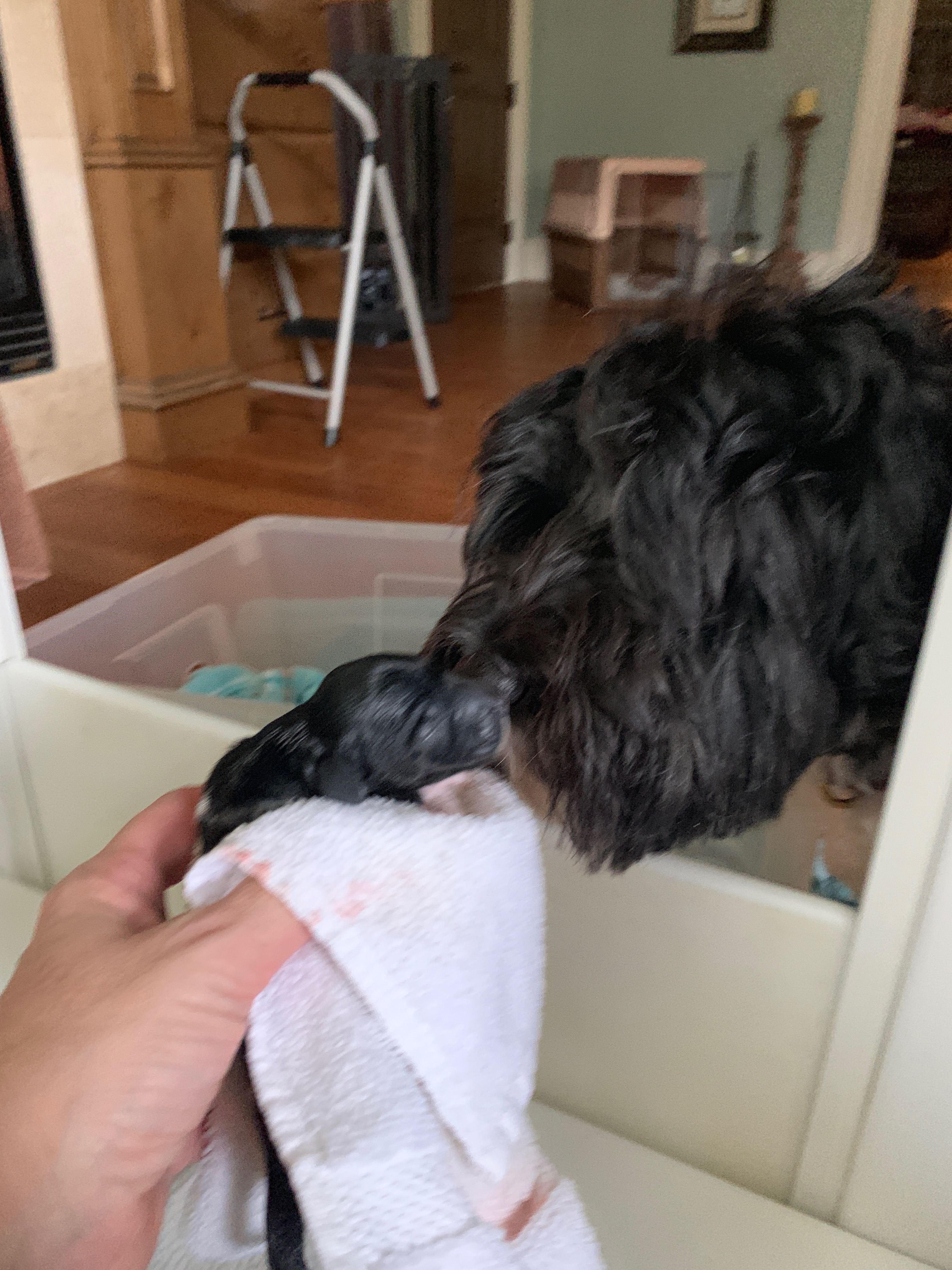 Giving the smell test