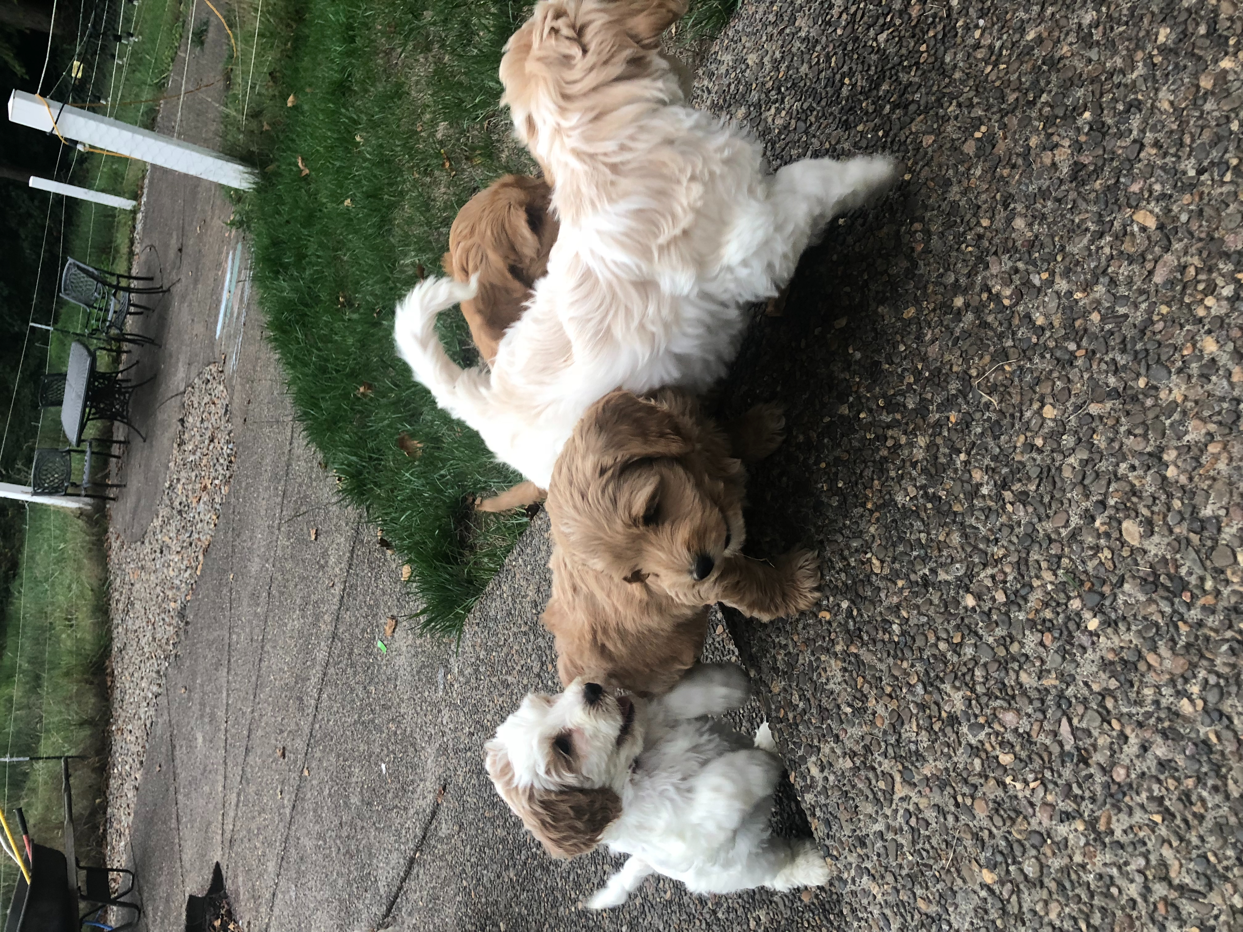 outside time for the first time!