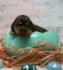 1710893190.7335792-804C719D-8D54-47B2-9F13-A49BBD8A1689