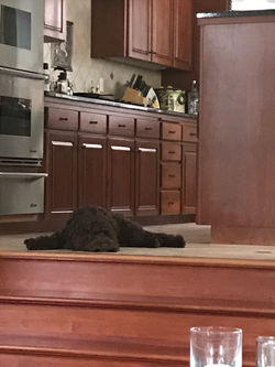 Nap time