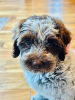 445432363_10229745735935003_8862770491634205587_n