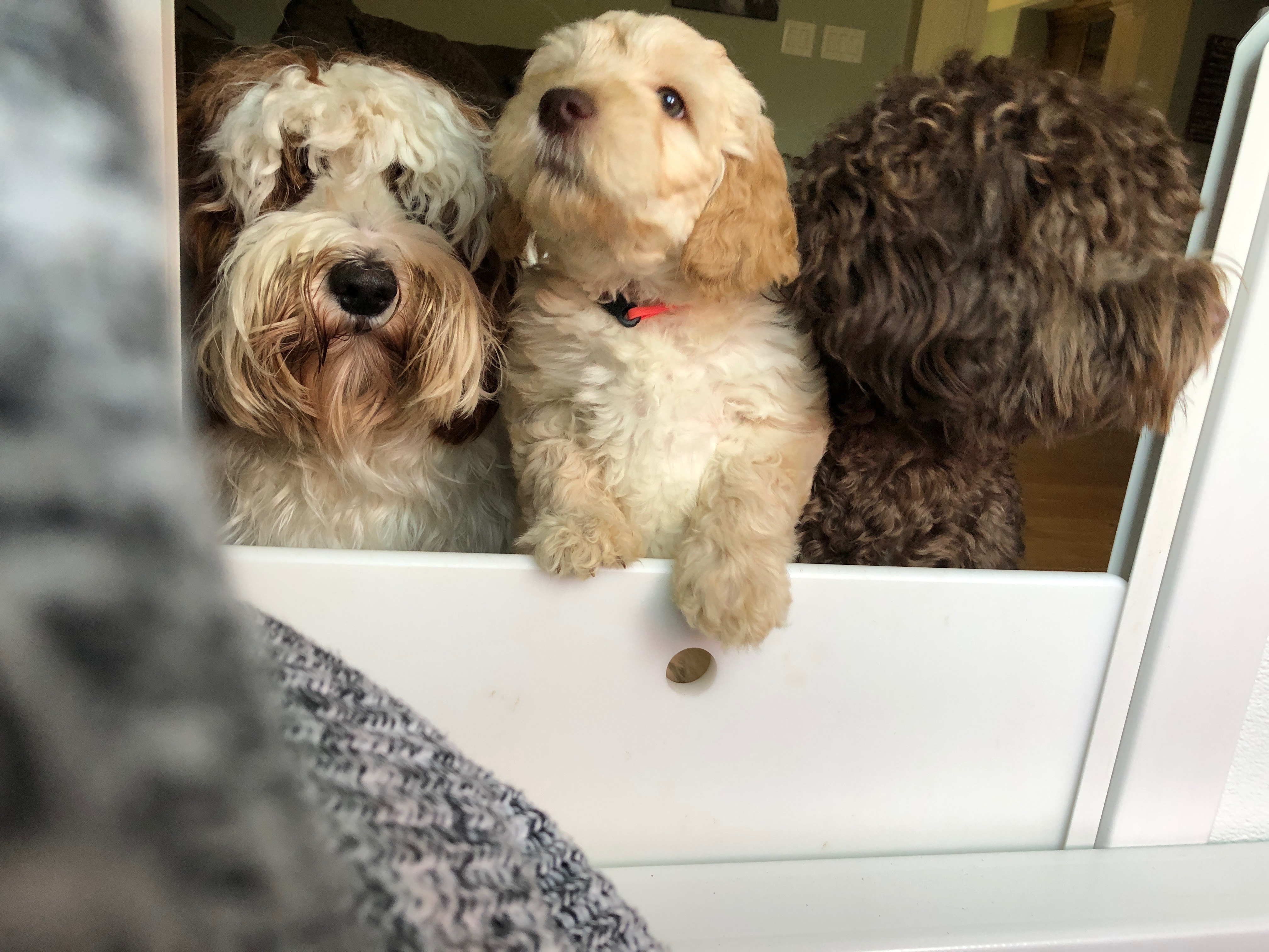 Boss & her friends