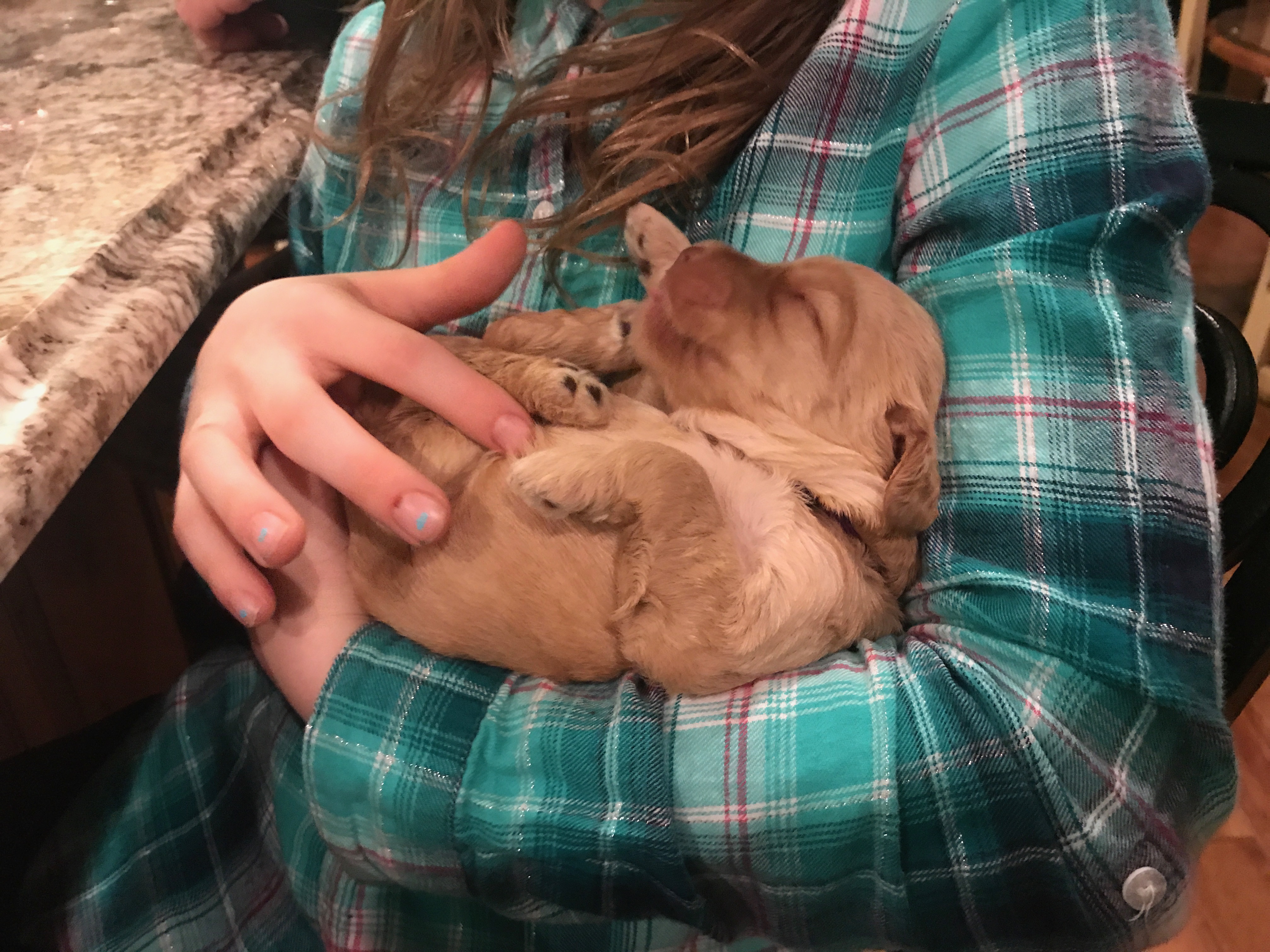 Snuggle time!