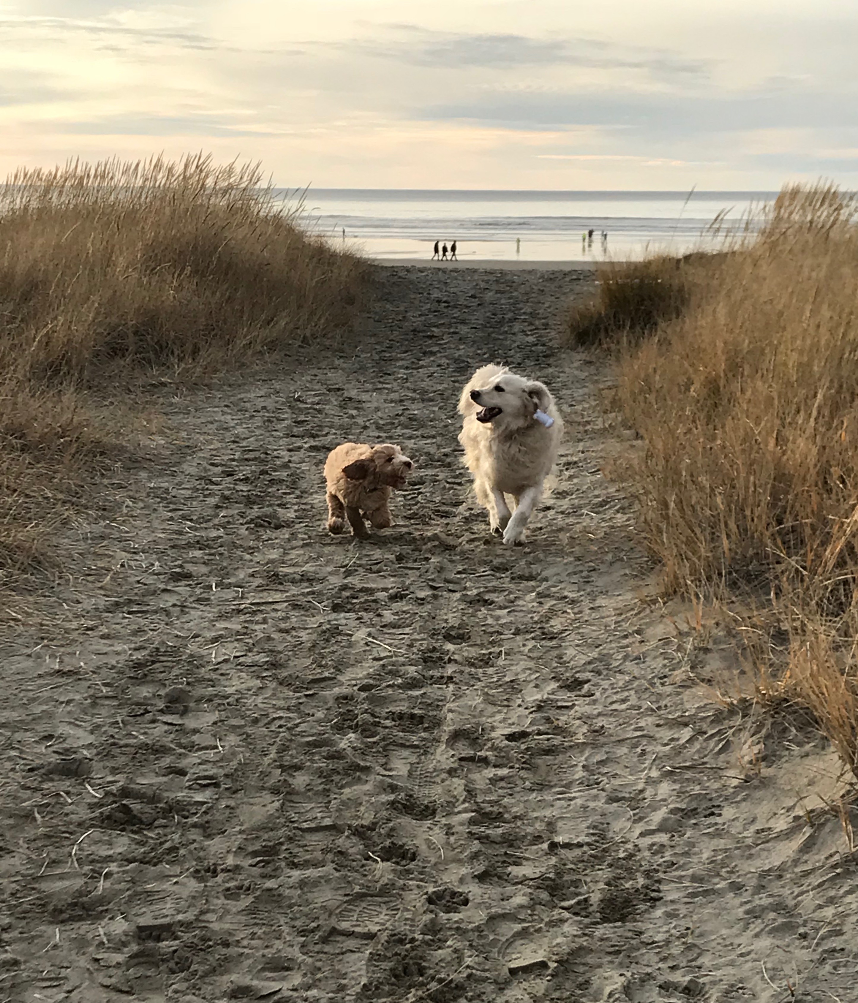 Chloe & her best friend Zelda