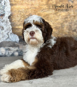 Image 7-7-23 at 4.17 PM (2)