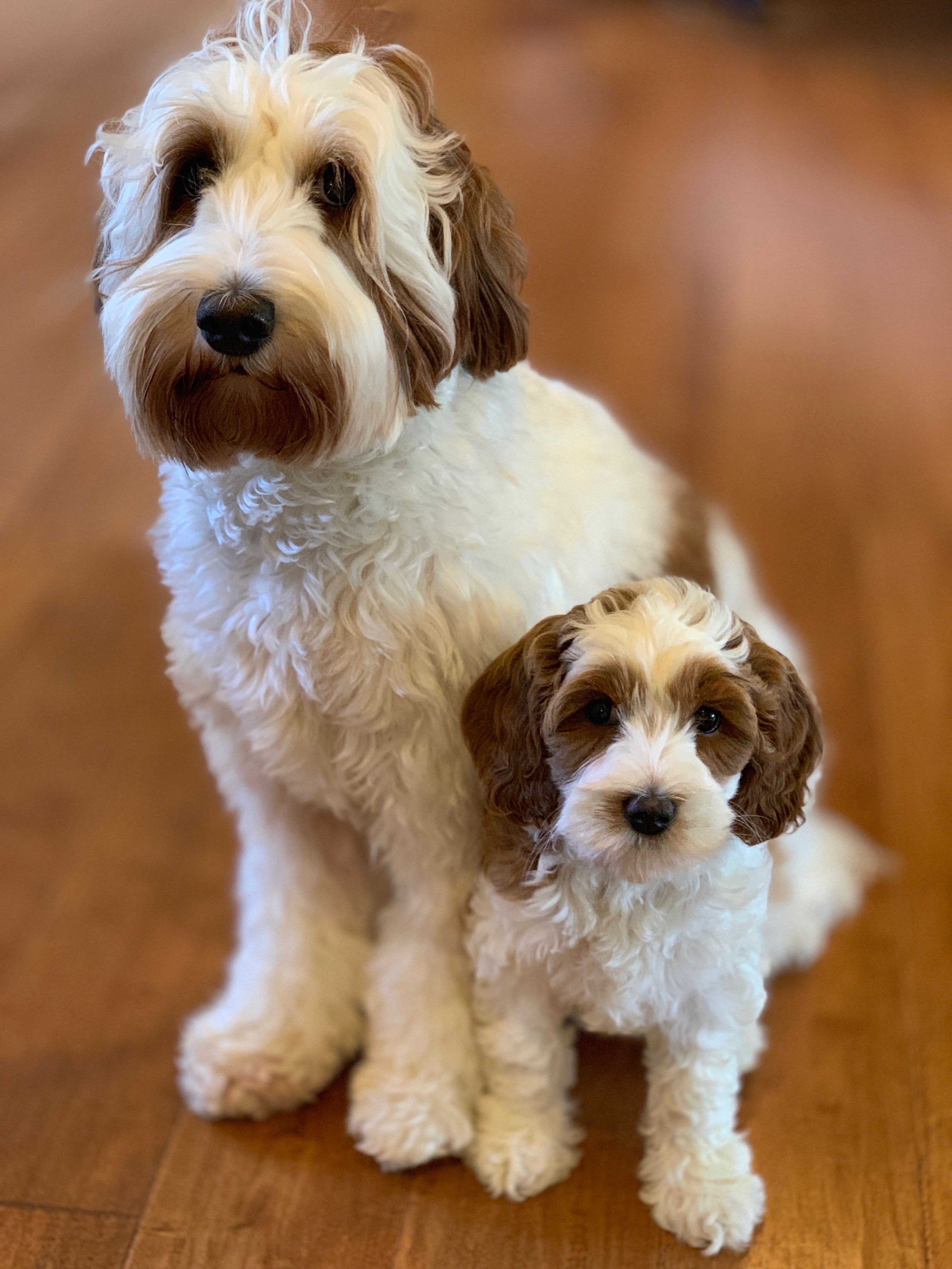 Mom and daughter