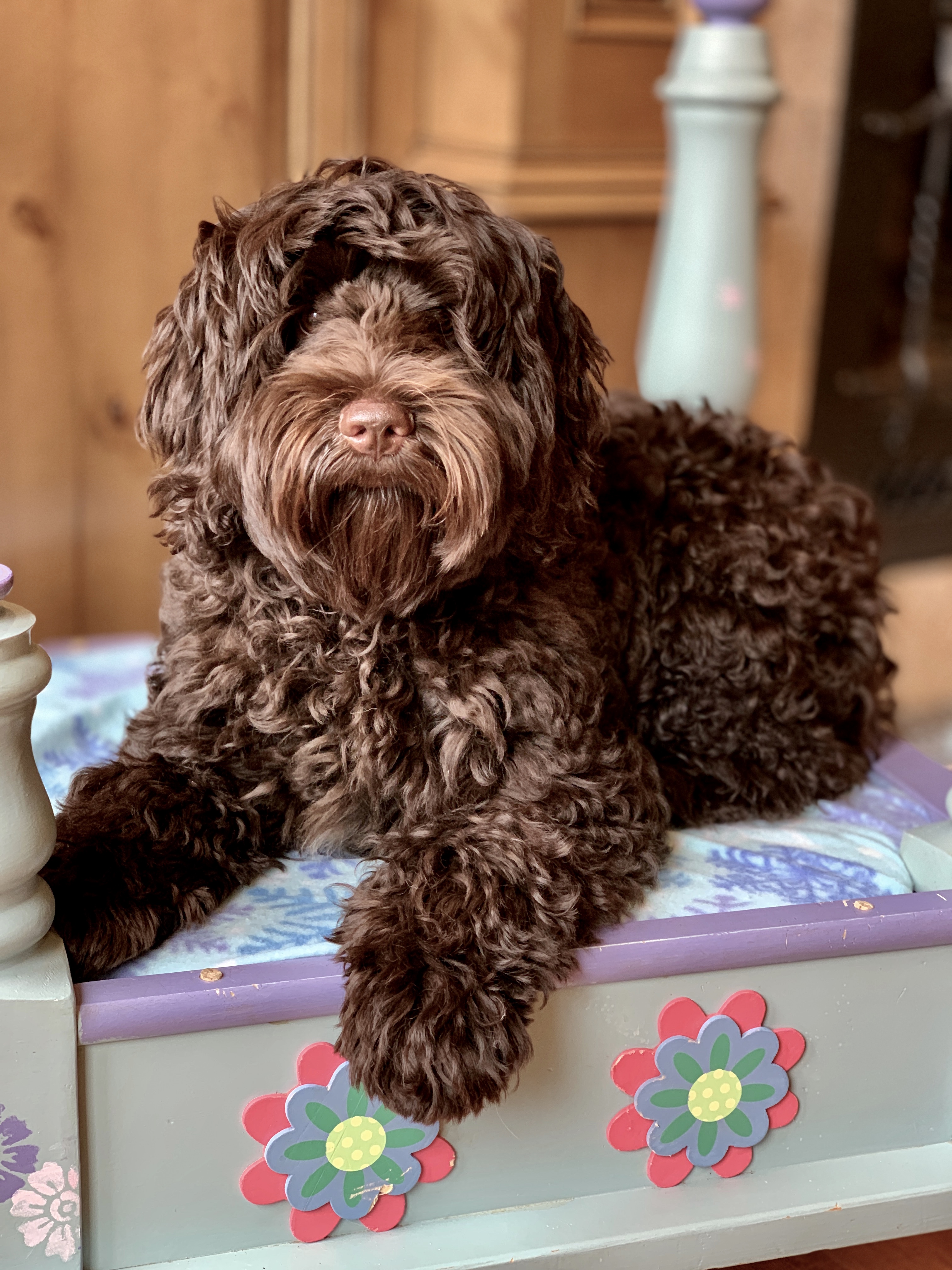 Coco