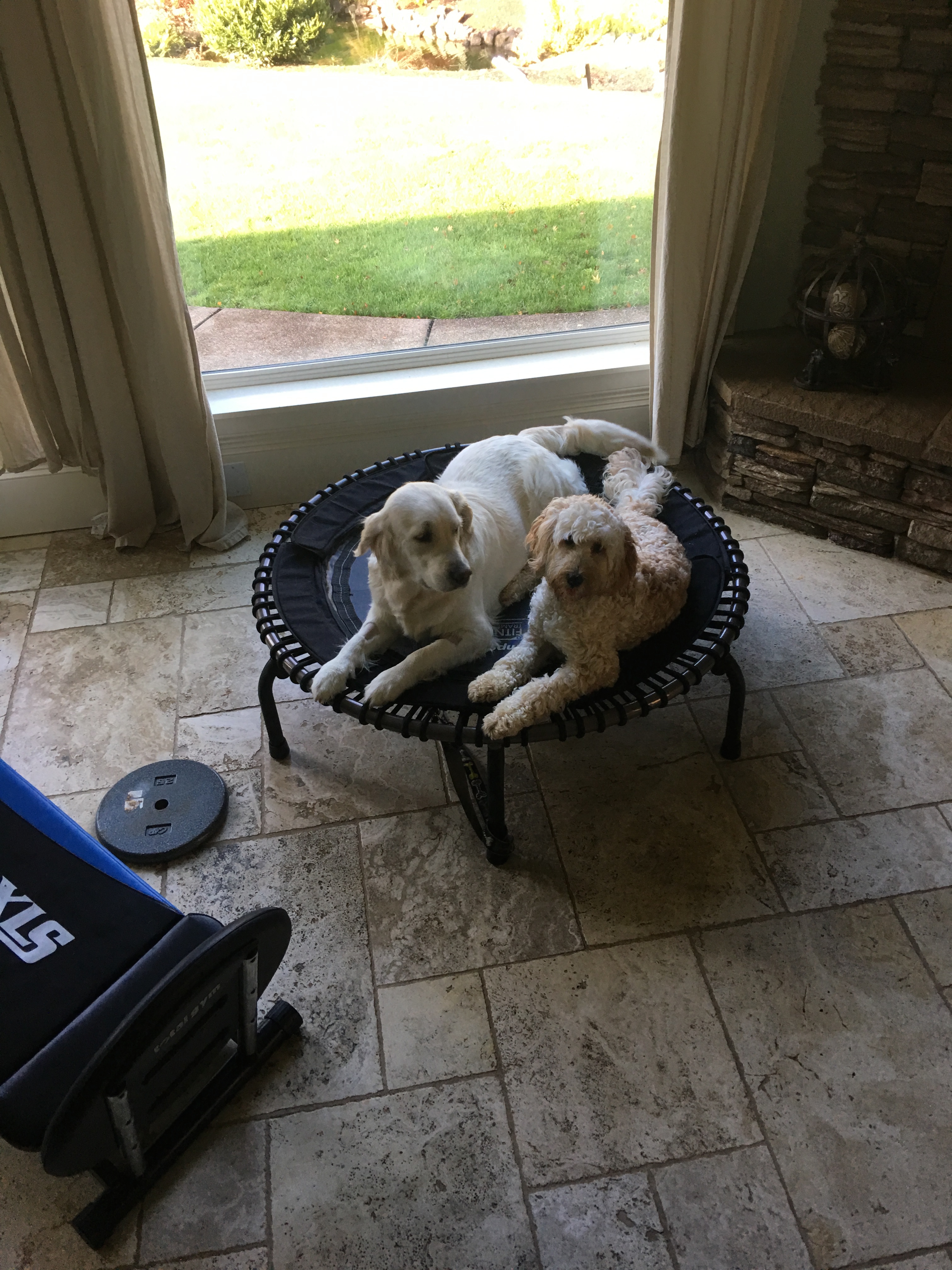 Morning exercise