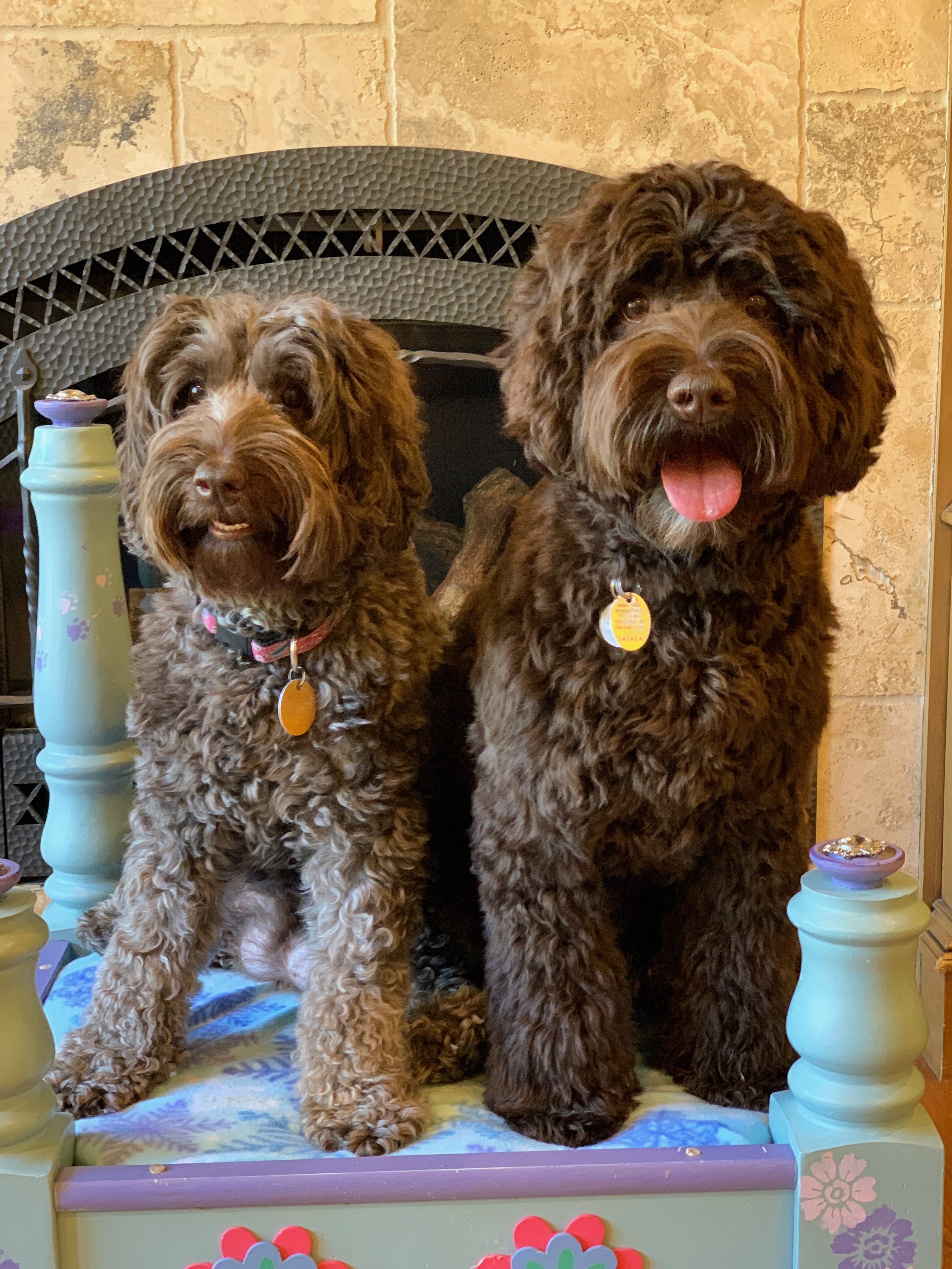 River & Kona