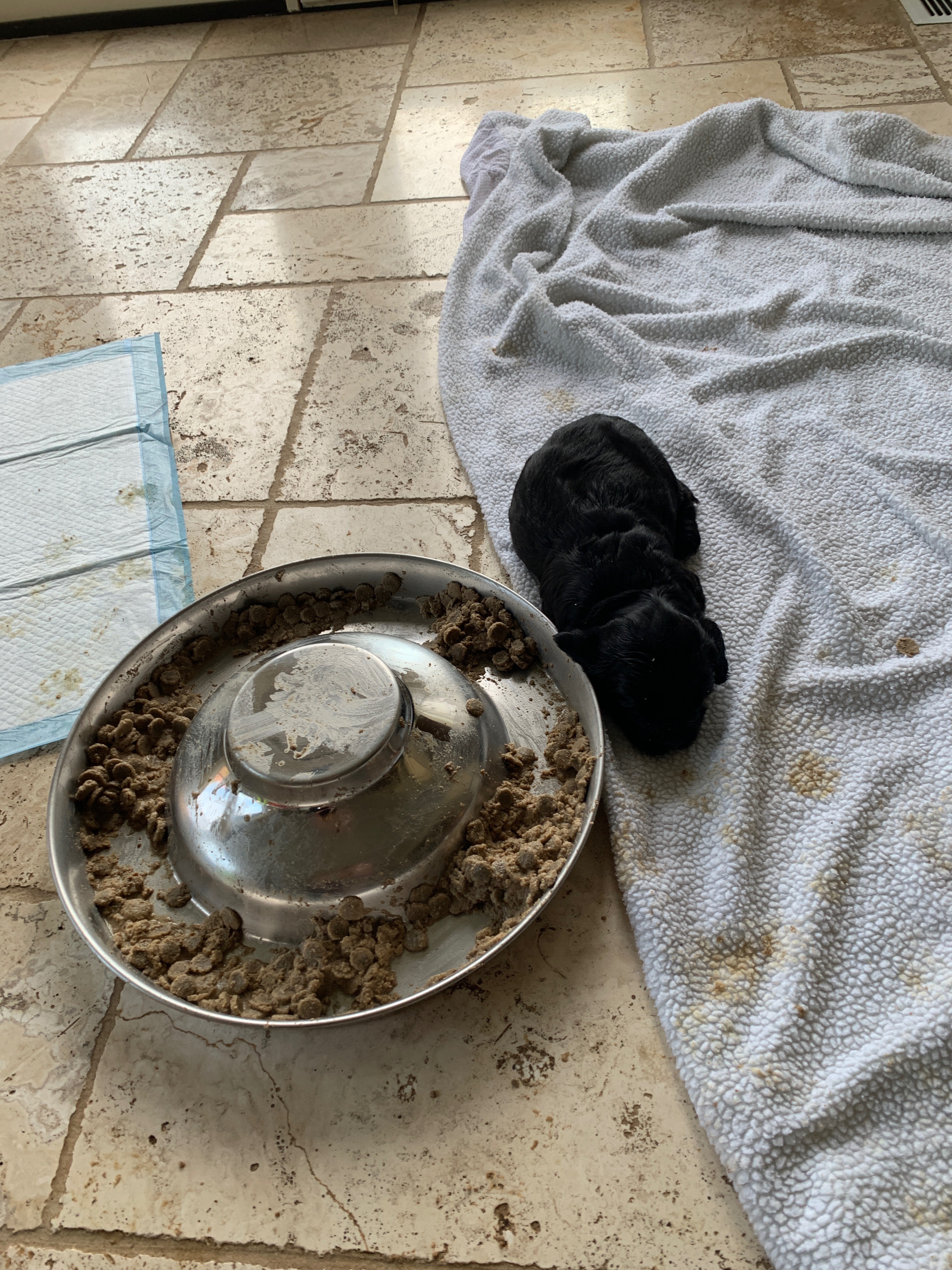 Too tire to eat