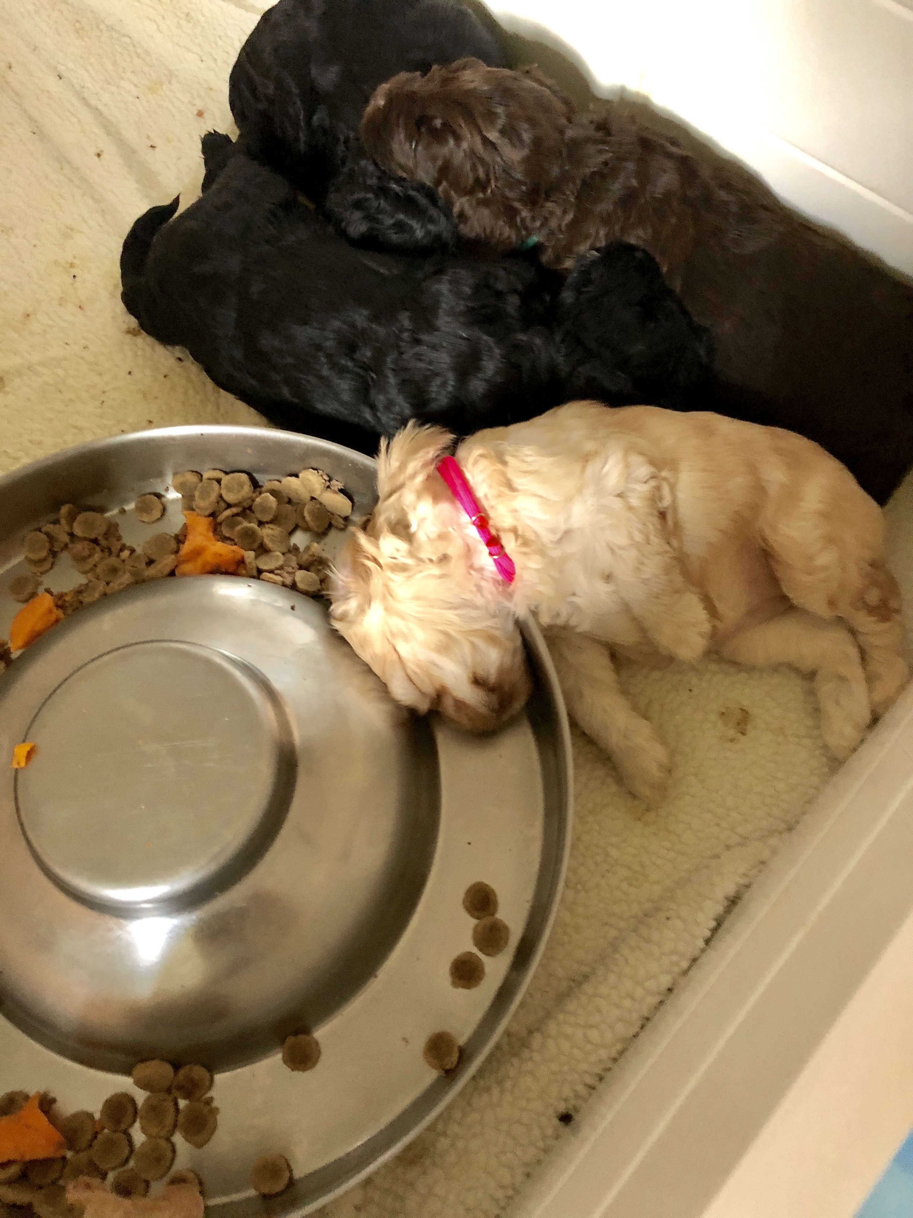 Food coma