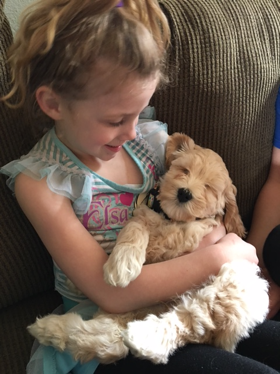 Gracie as a puppy