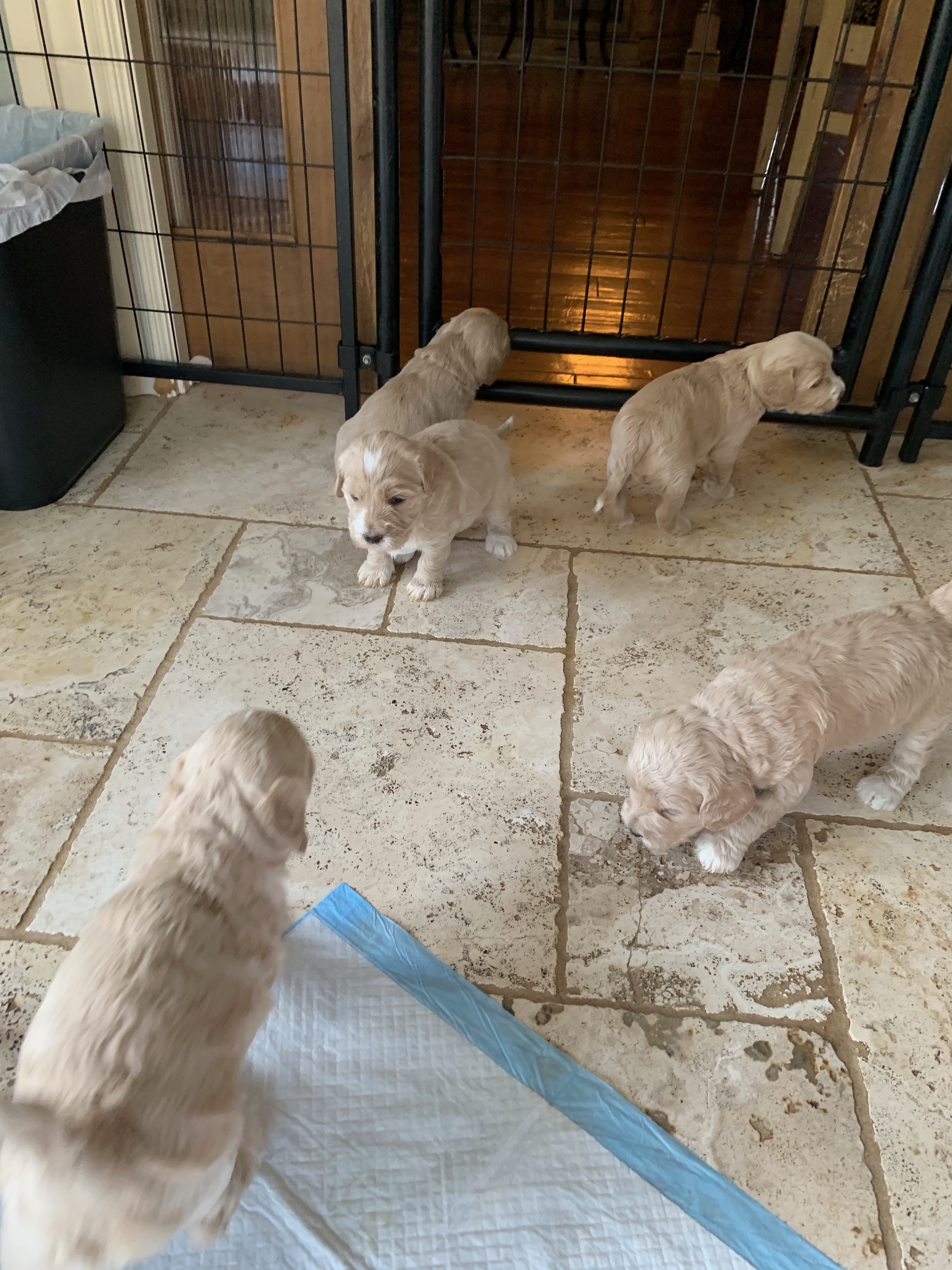 Play time