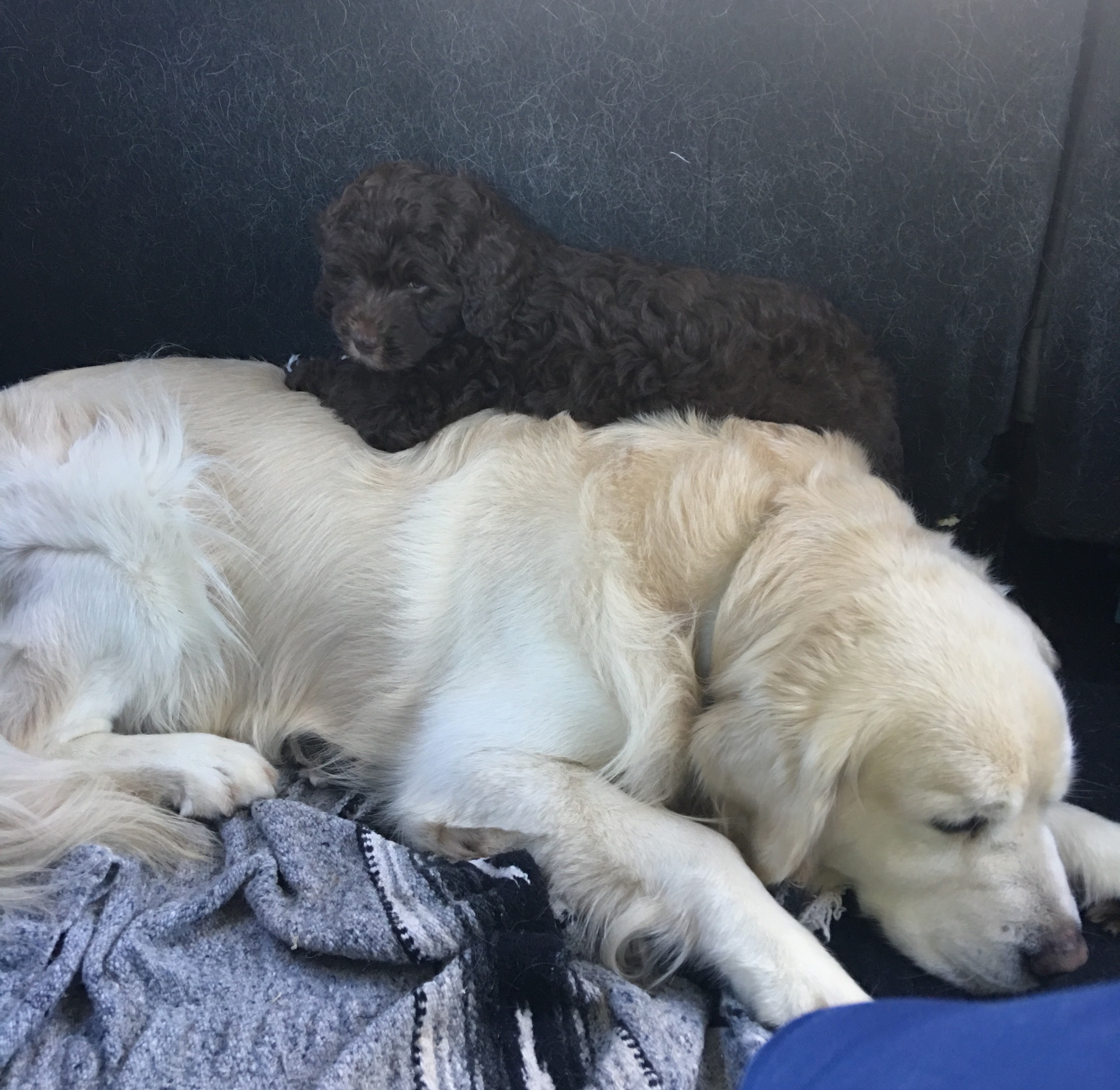 Snuggle Time