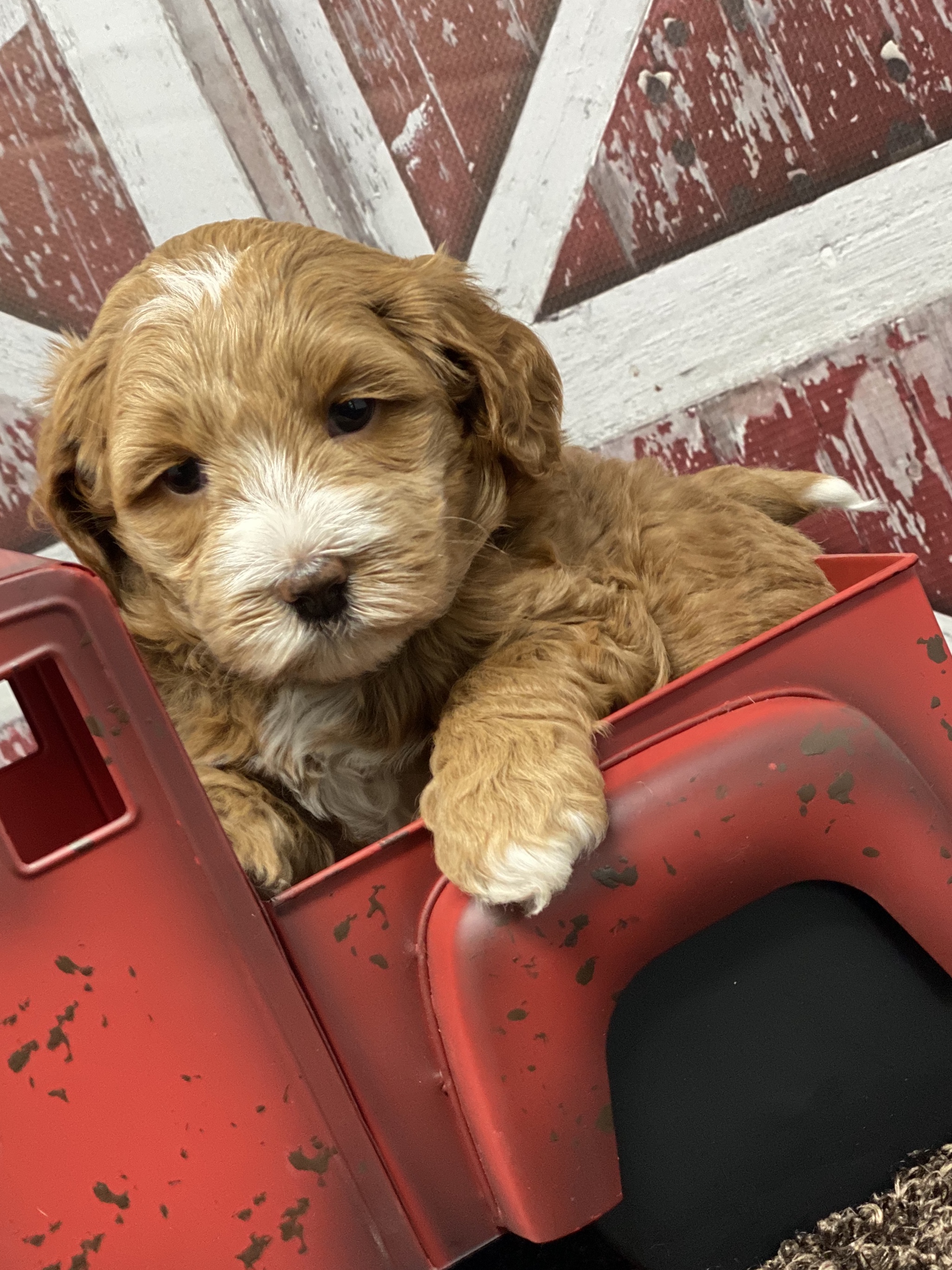 Bentley