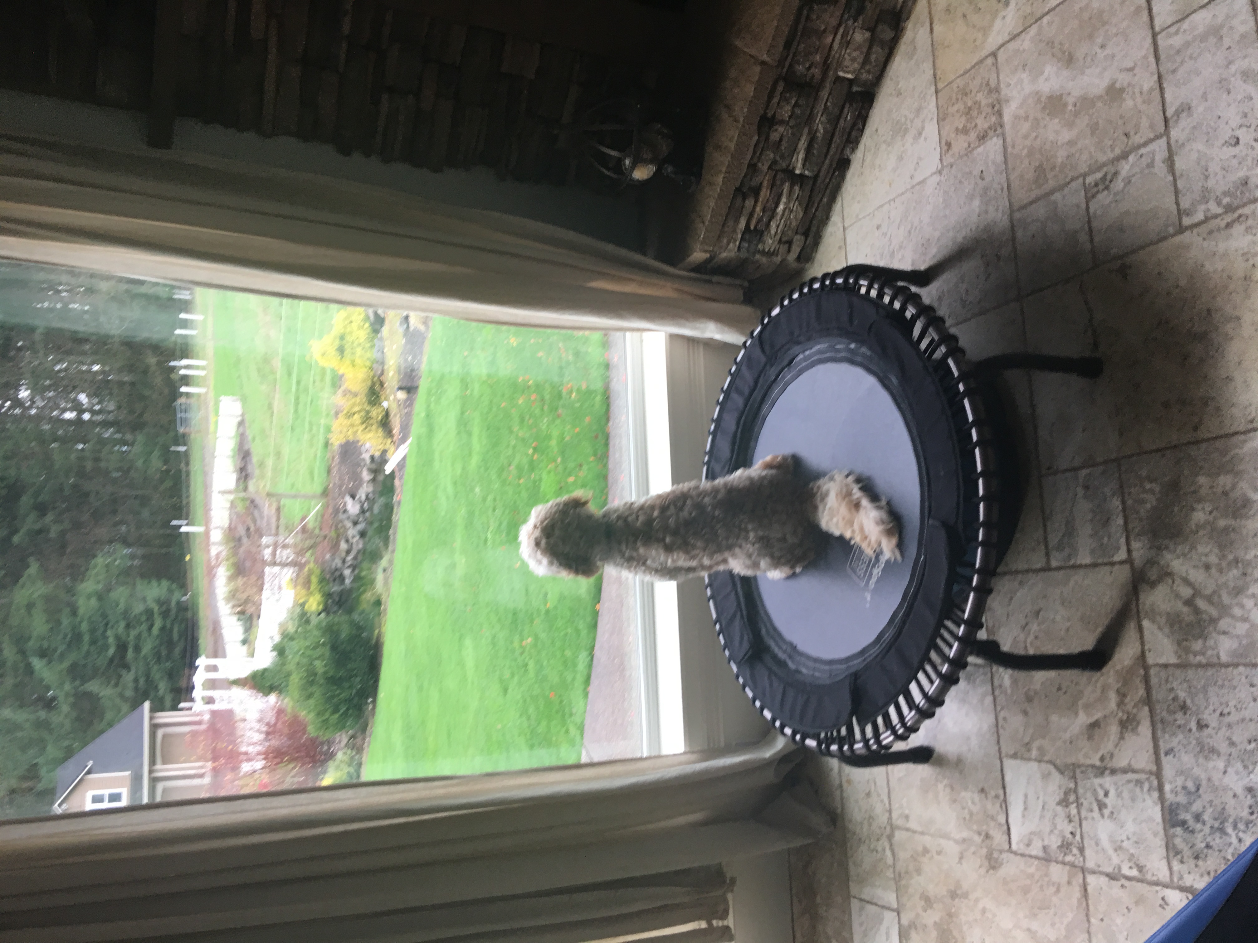 Would love to go outside!