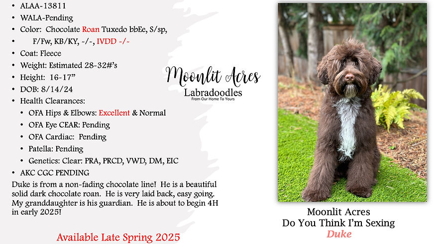 Image 4-28-25 at 12.58 PM.jpg