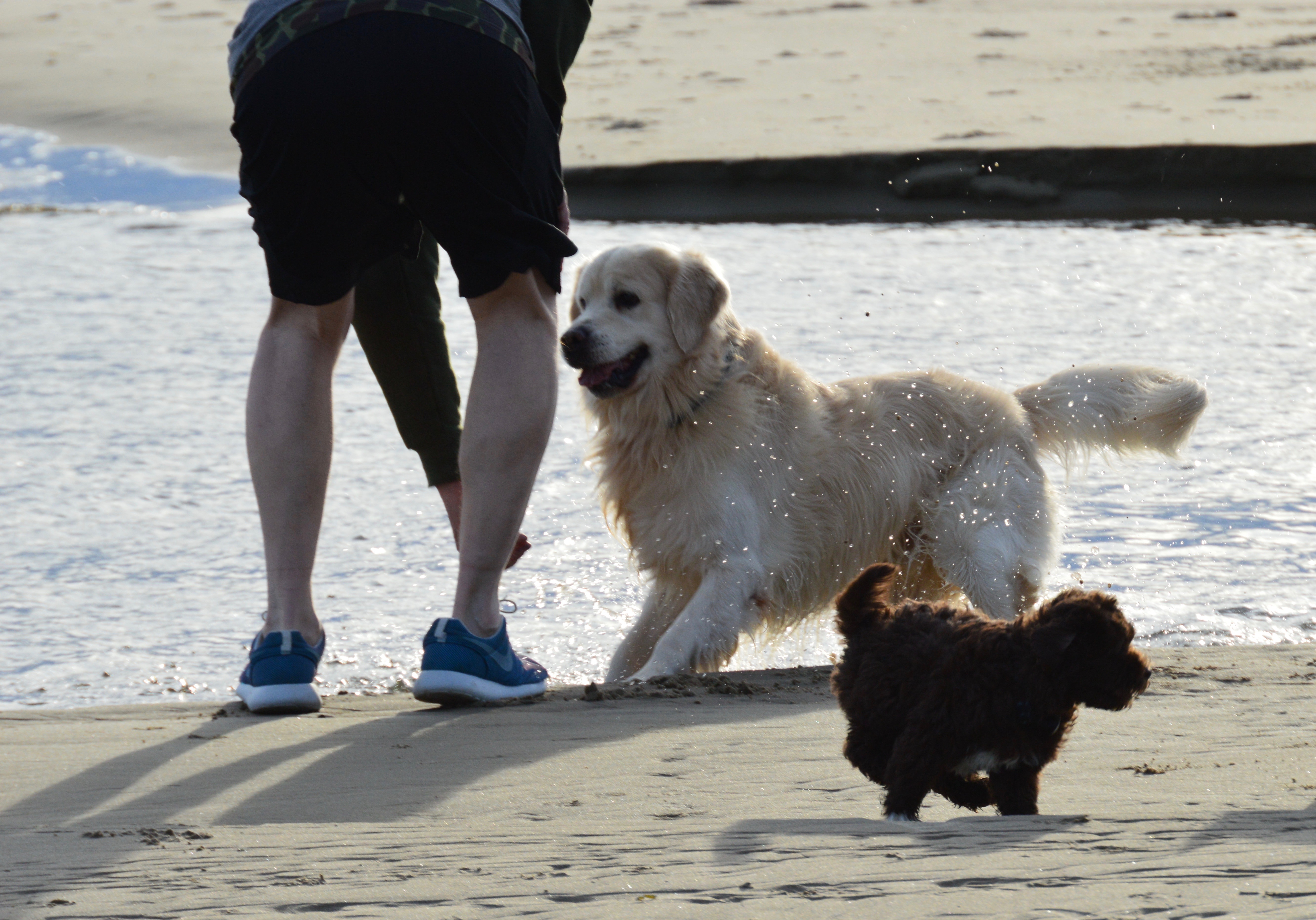 Photo bombing!