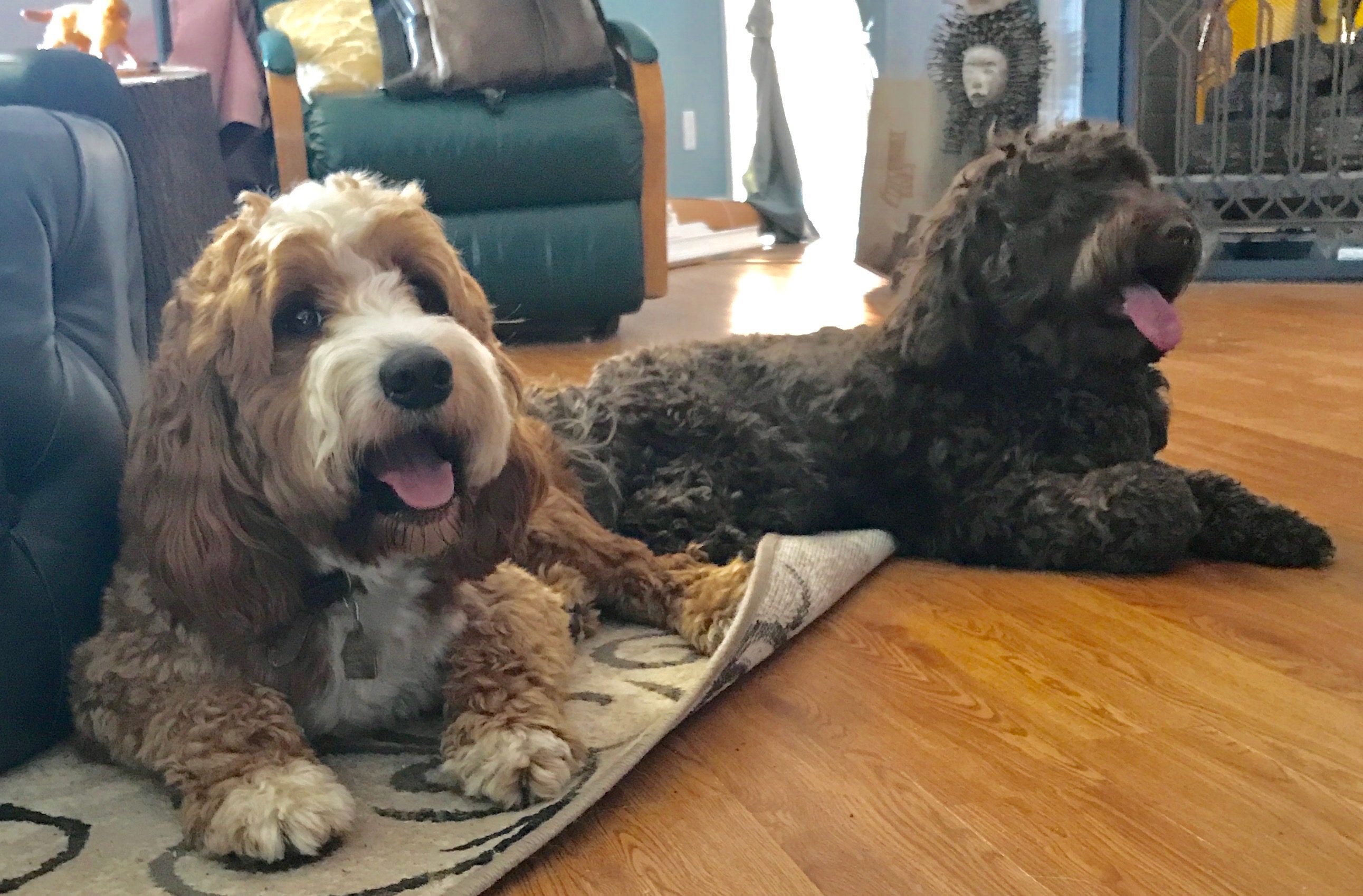Zoe & River