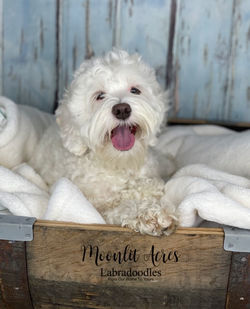 Image 11-11-22 at 10.47 AM (3)