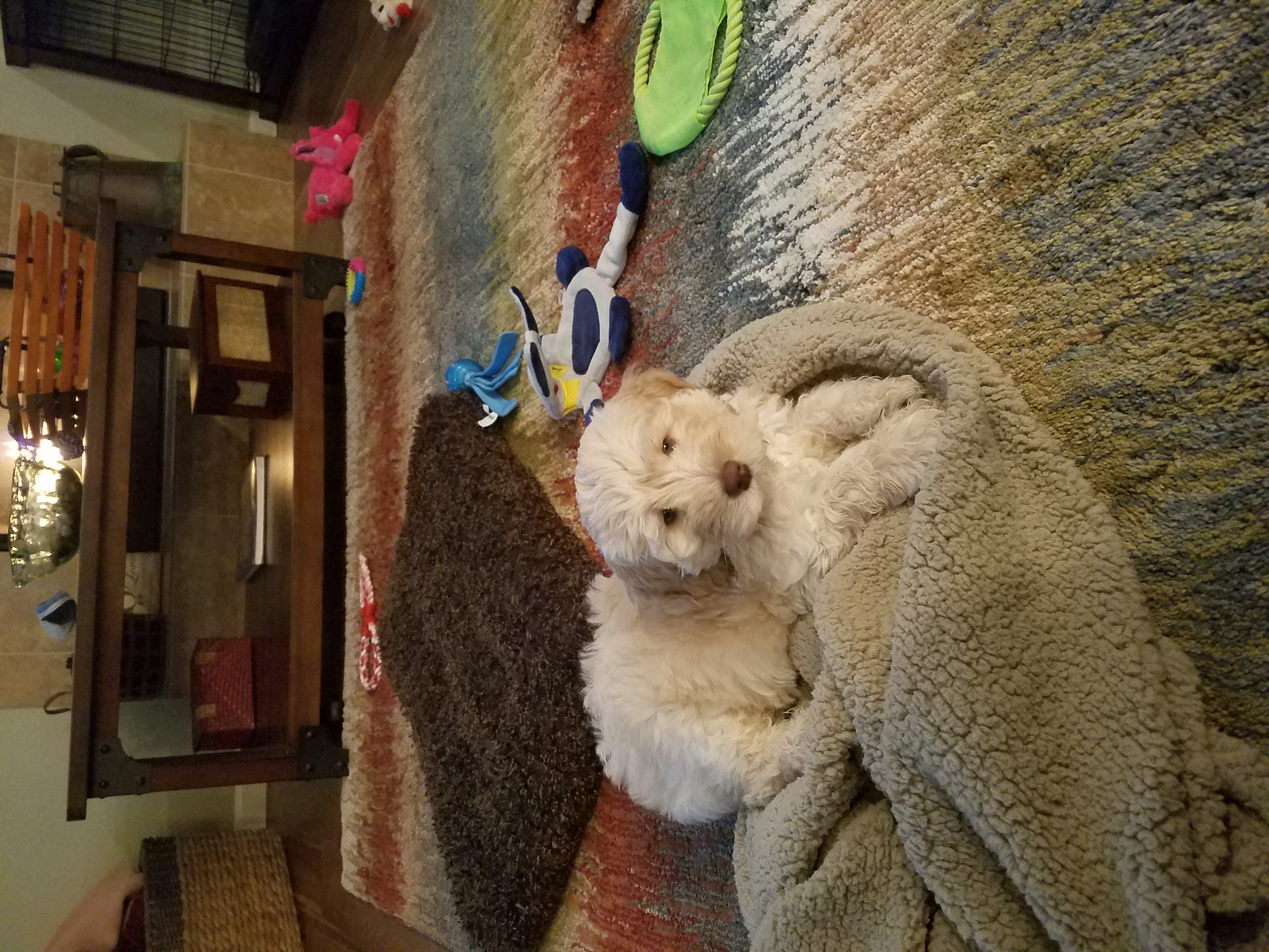 Luke in his new home