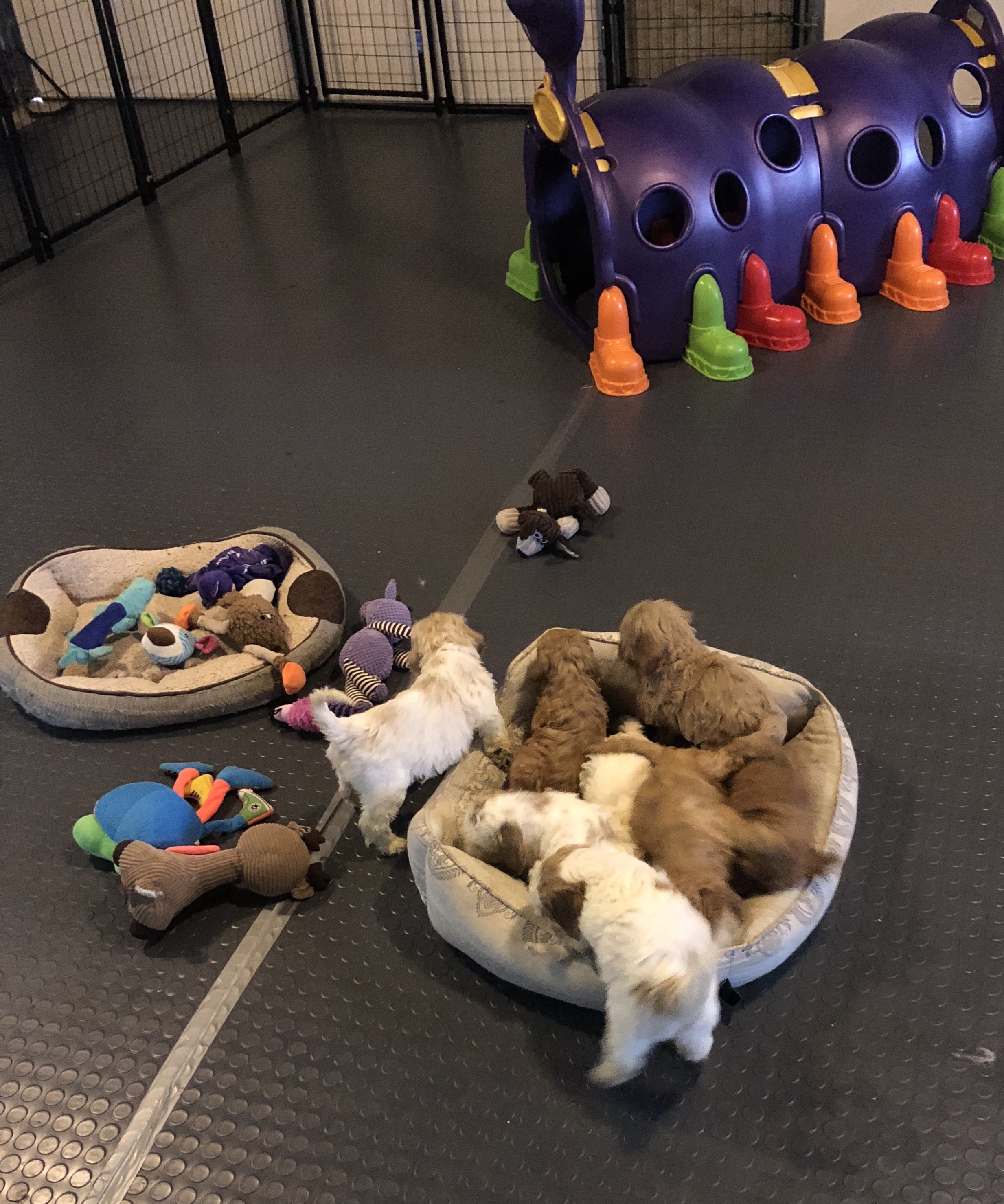 Play time!