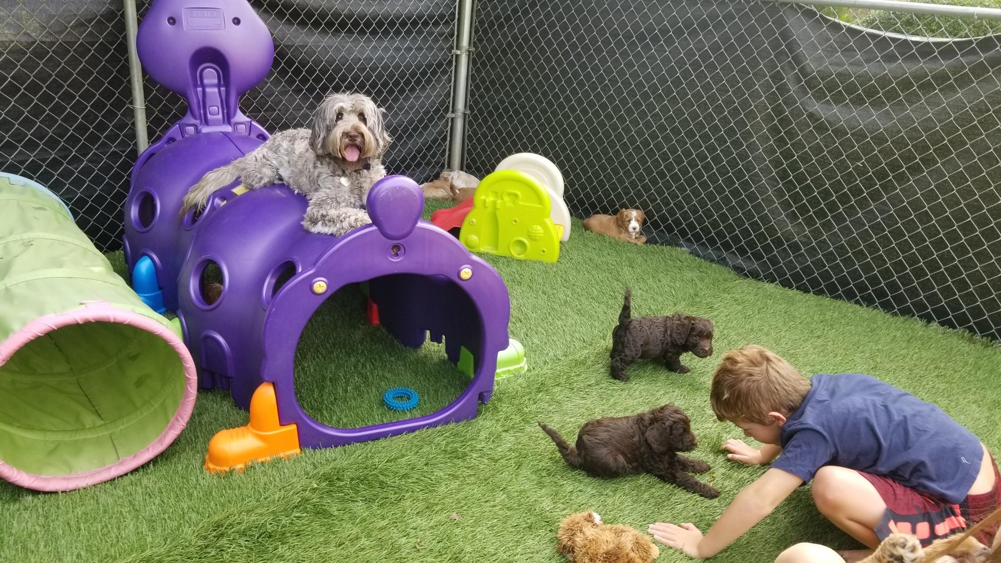 Mom is safe!