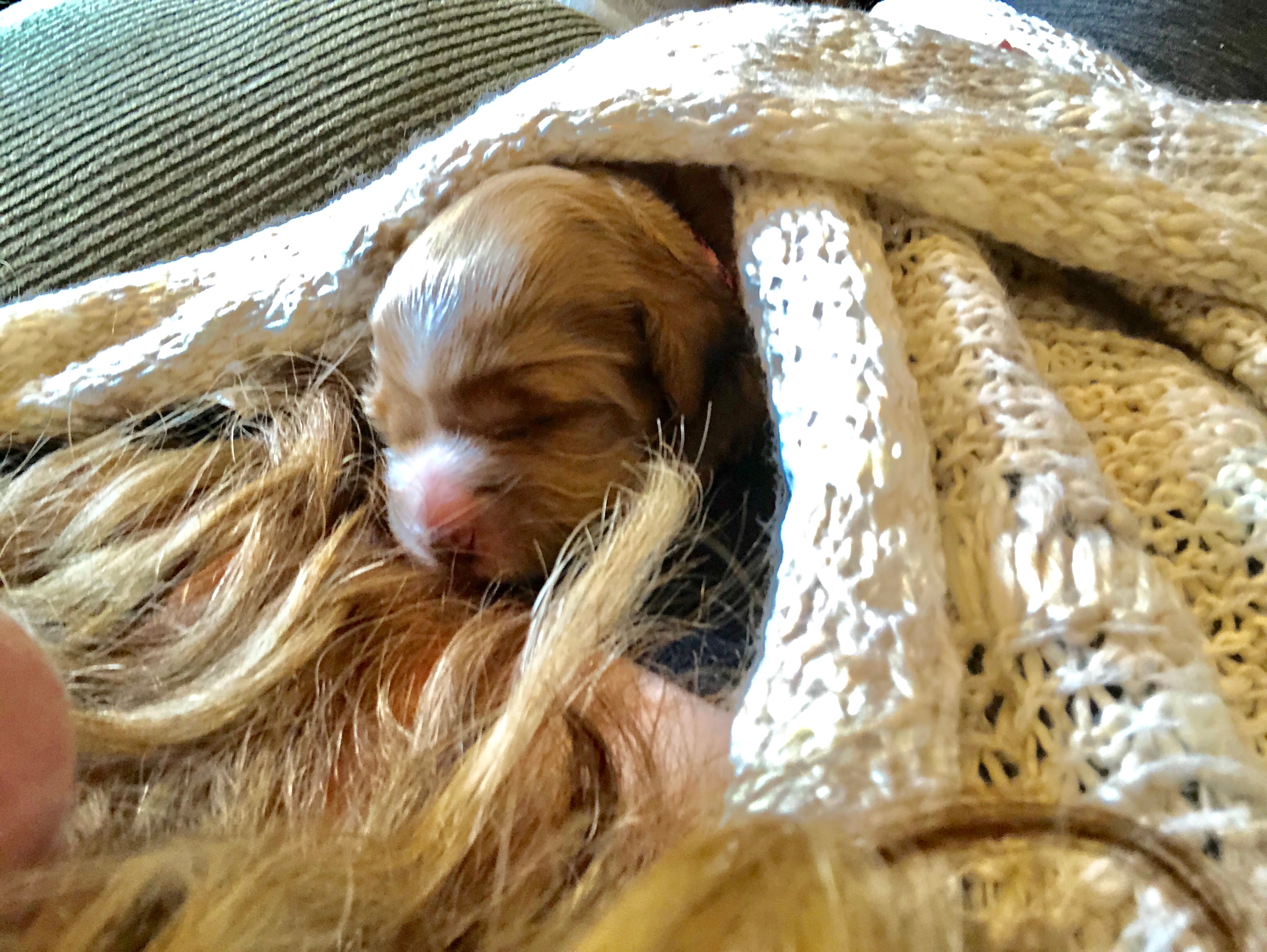 Sunday snuggles