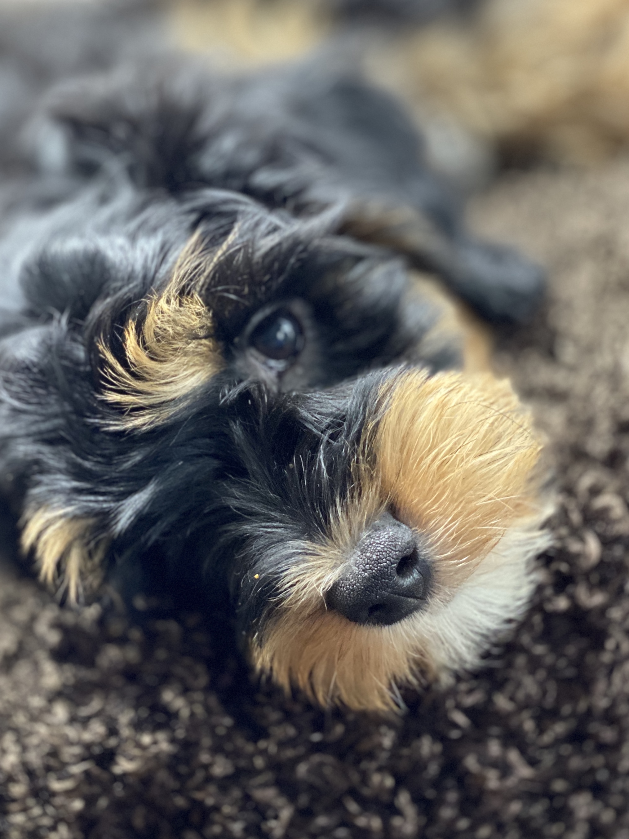 Being a super model is tiring💕