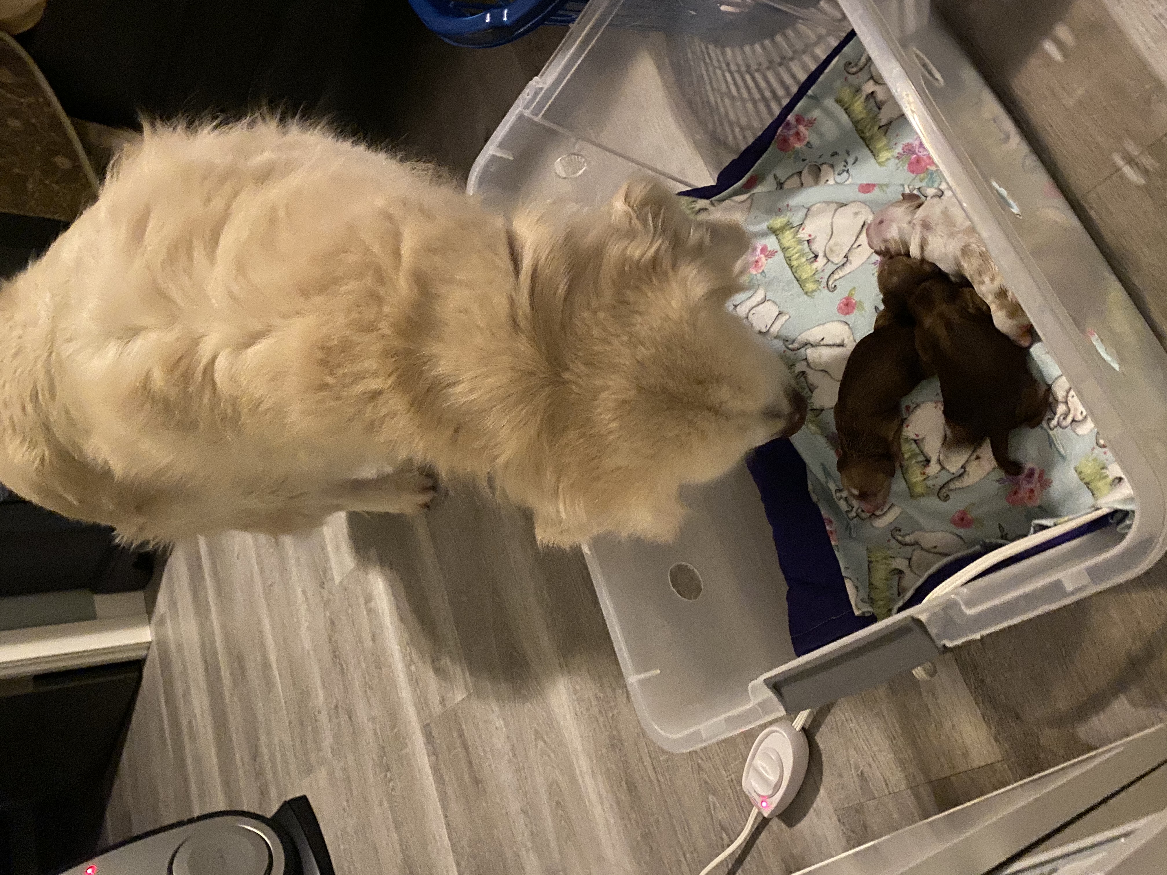 Making sure everything is ok