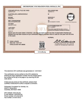 CREAMPUFFS EL FILO DE VINO EYES 12_04_2021 EYES.jpg