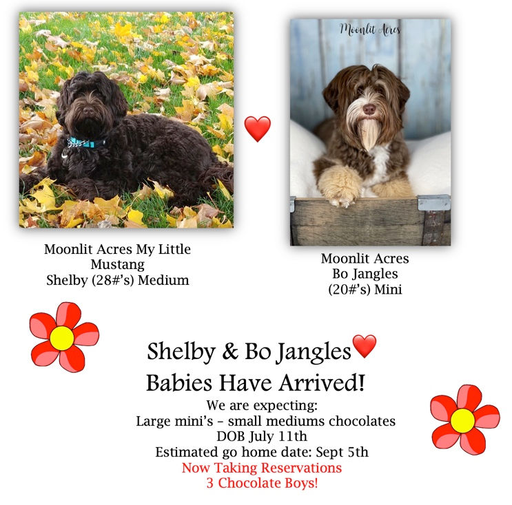 Image 8-5-22 at 2.59 PM.jpg