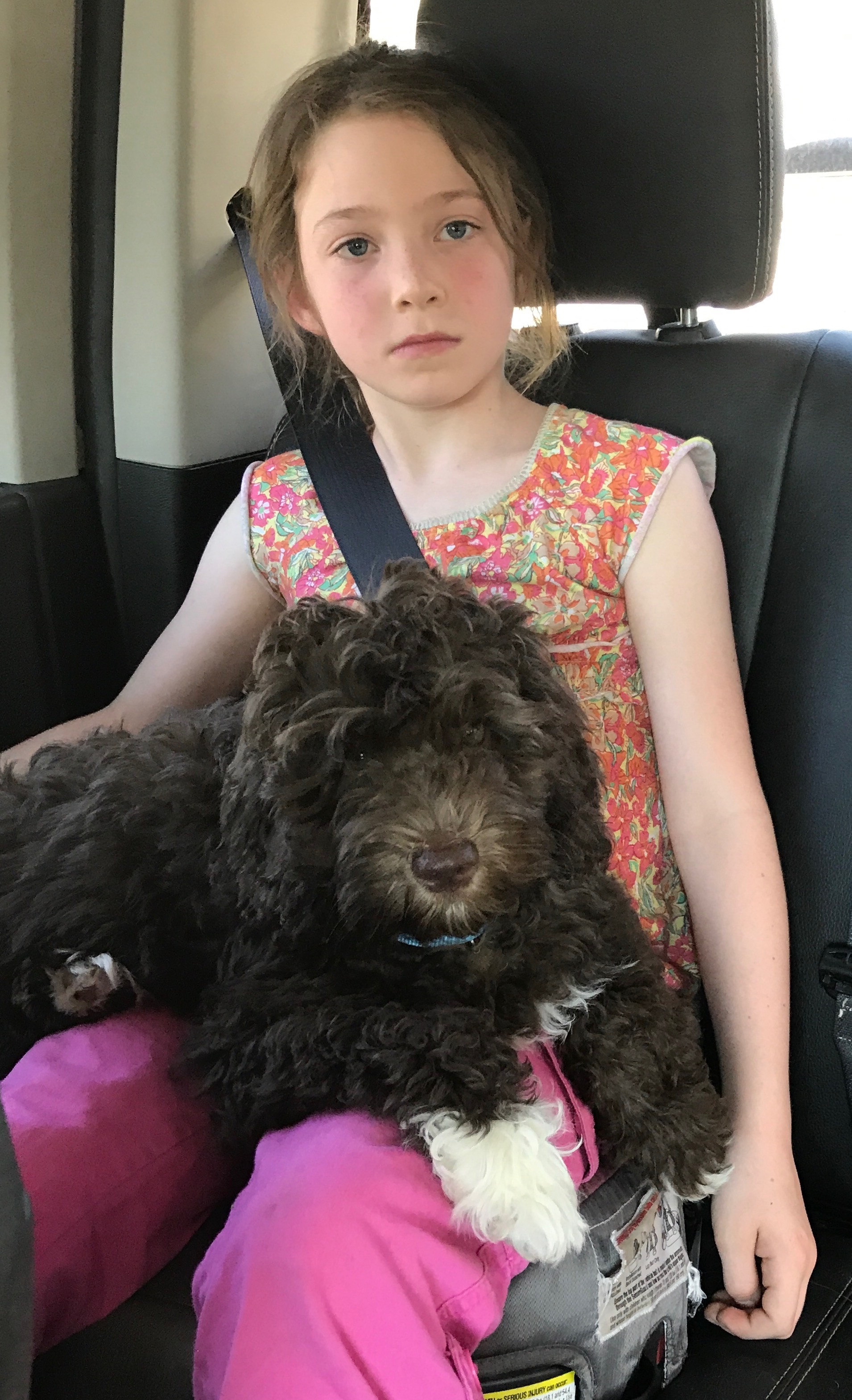 Road Trip