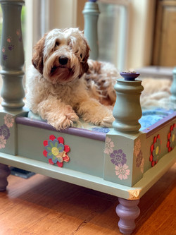In her princess bed